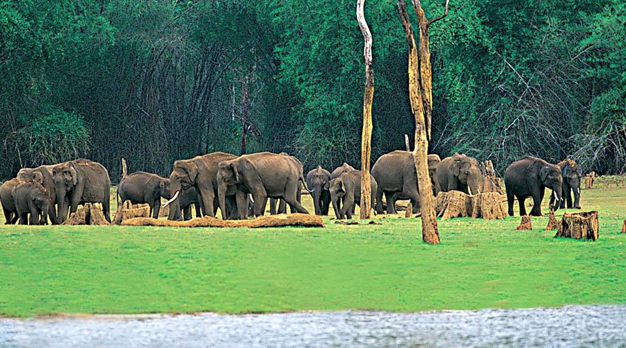 Kerala Nature & Wildlife Tour