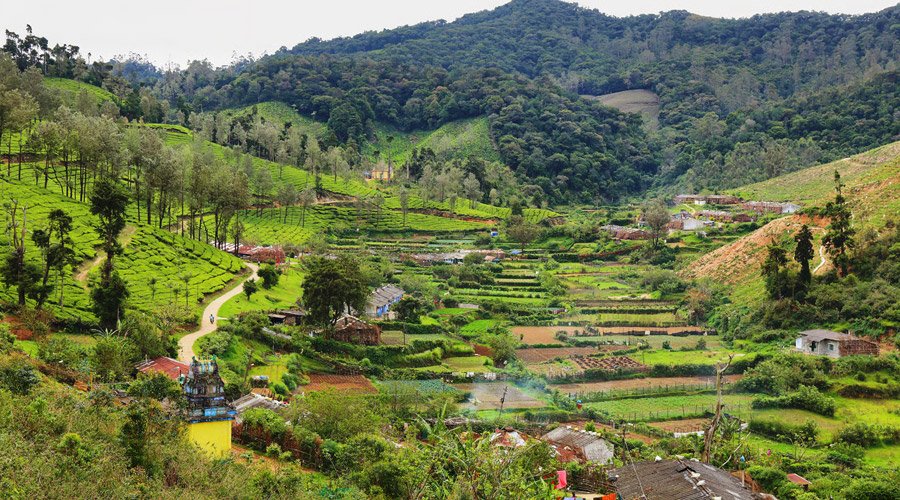 Ooty Sightseeing Explorer