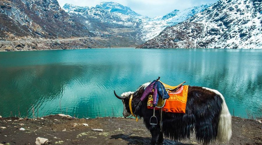 Sikkim Family Nature Tour